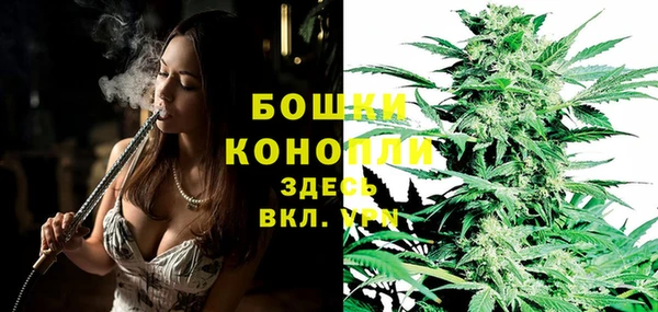 тгк Беломорск