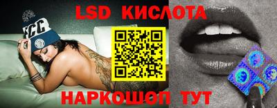 прущие грибы Можга