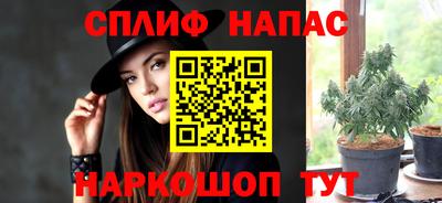 прущие грибы Можга
