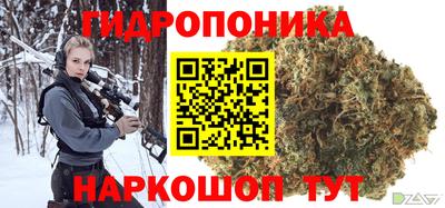 прущие грибы Можга