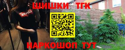прущие грибы Можга