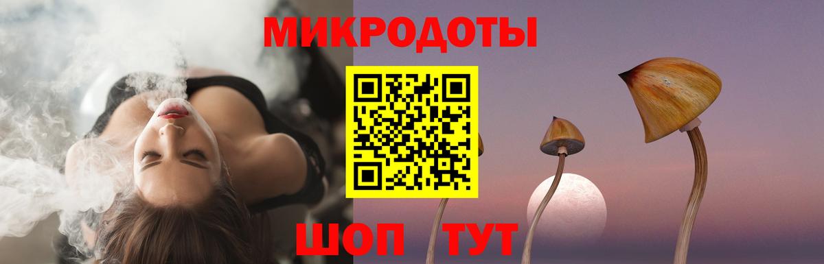 Галлюциногенные грибы Psilocybine cubensis  Вход с VPN  наркошоп  Горно-Алтайск 